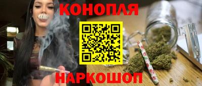 jwh Новозыбков