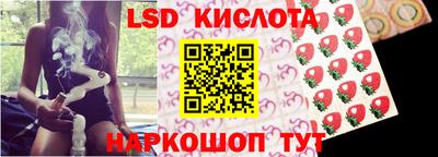 jwh Новозыбков