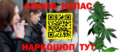 jwh Новозыбков