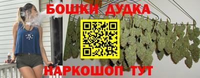дживик Новодвинск