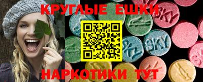 a pvp Новокубанск