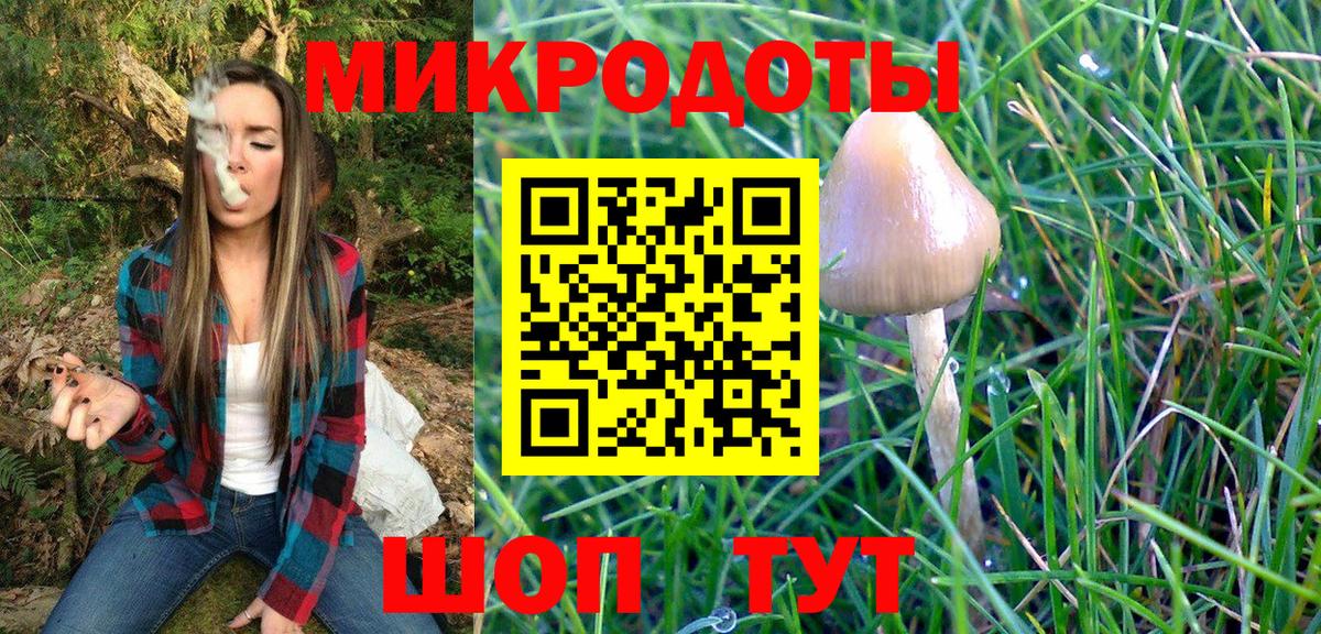 Псилоцибиновые грибы Psilocybine cubensis  Вход с VPN  Трёхгорный  Псилоцибиновые грибы мухоморы 
